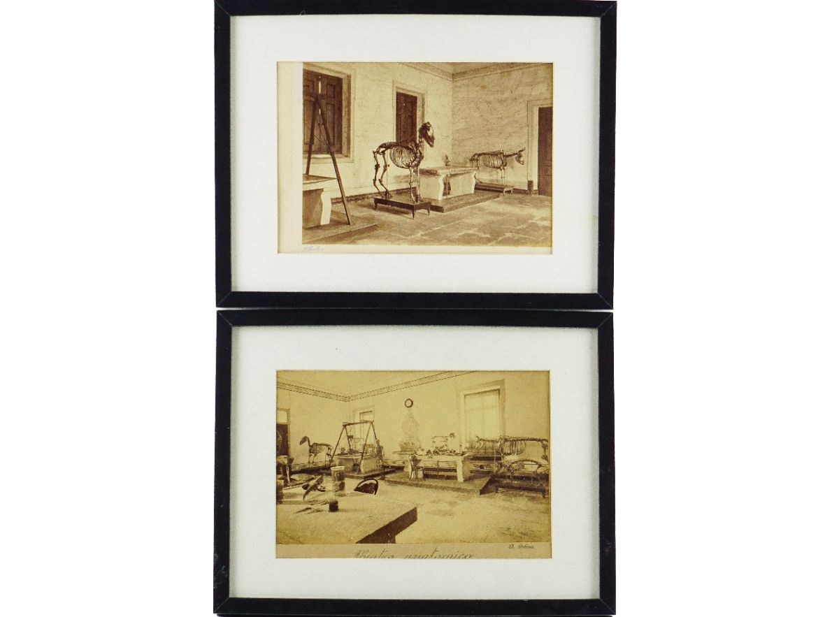 Augusto Bobone/Francisco Rocchini