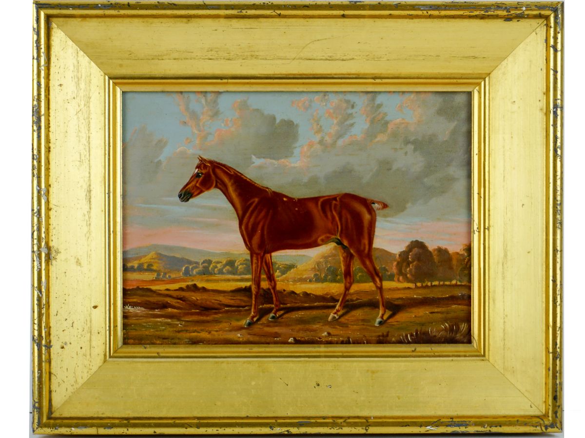 Cavalo