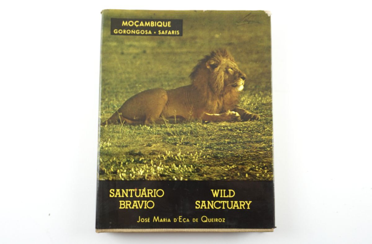Moçambique – Gorongosa – Safaris