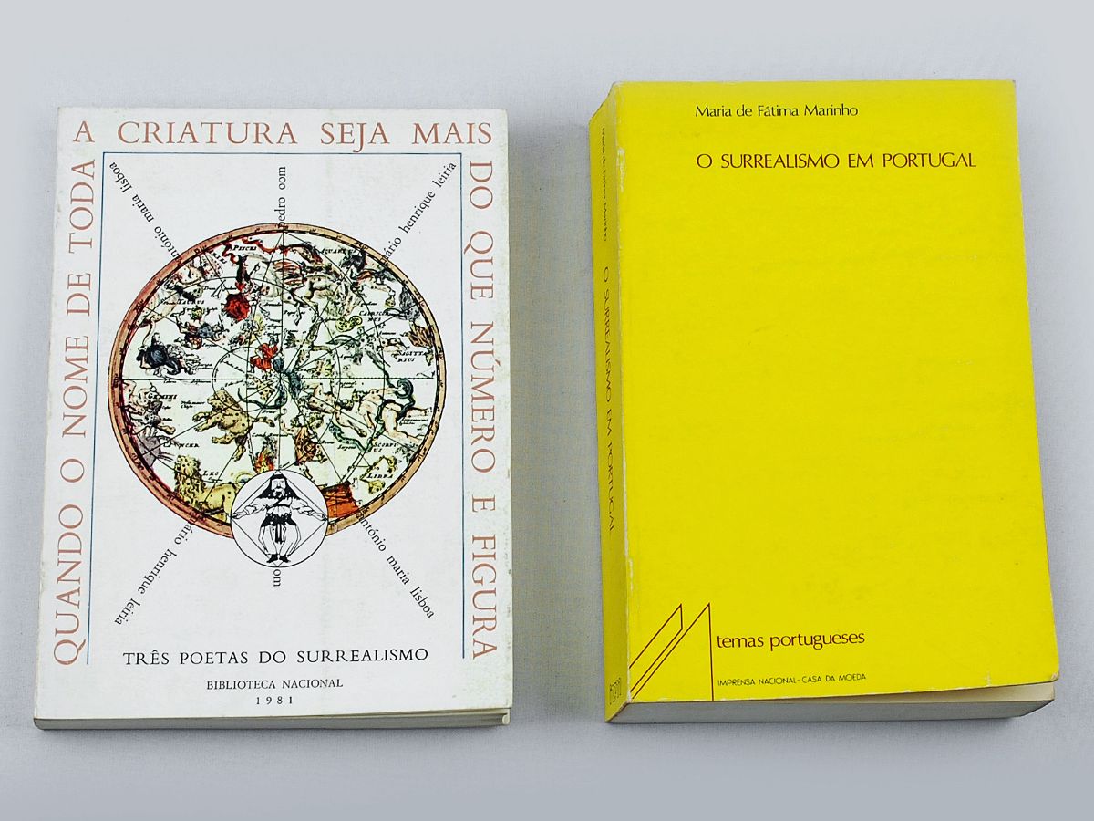 2 Livros sobre surrealismo