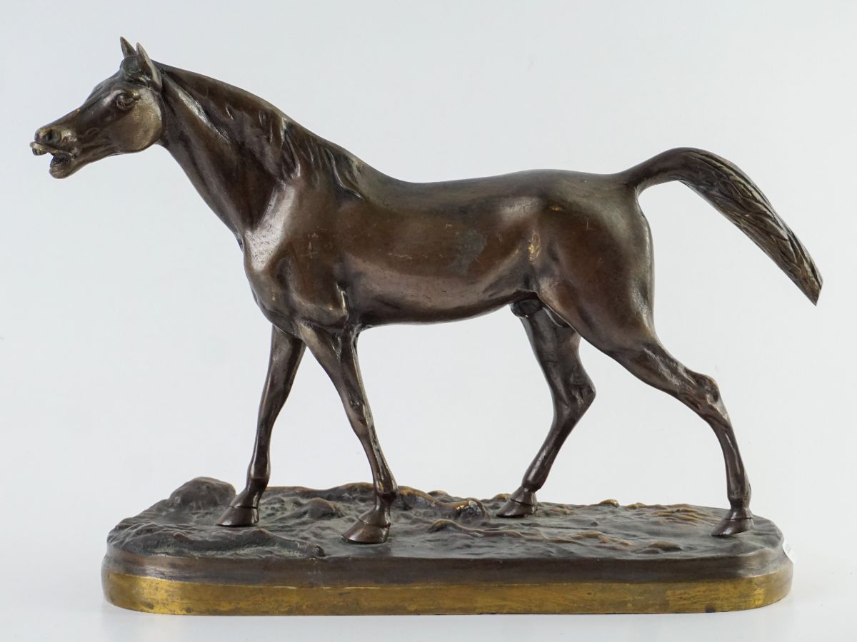Cavalo