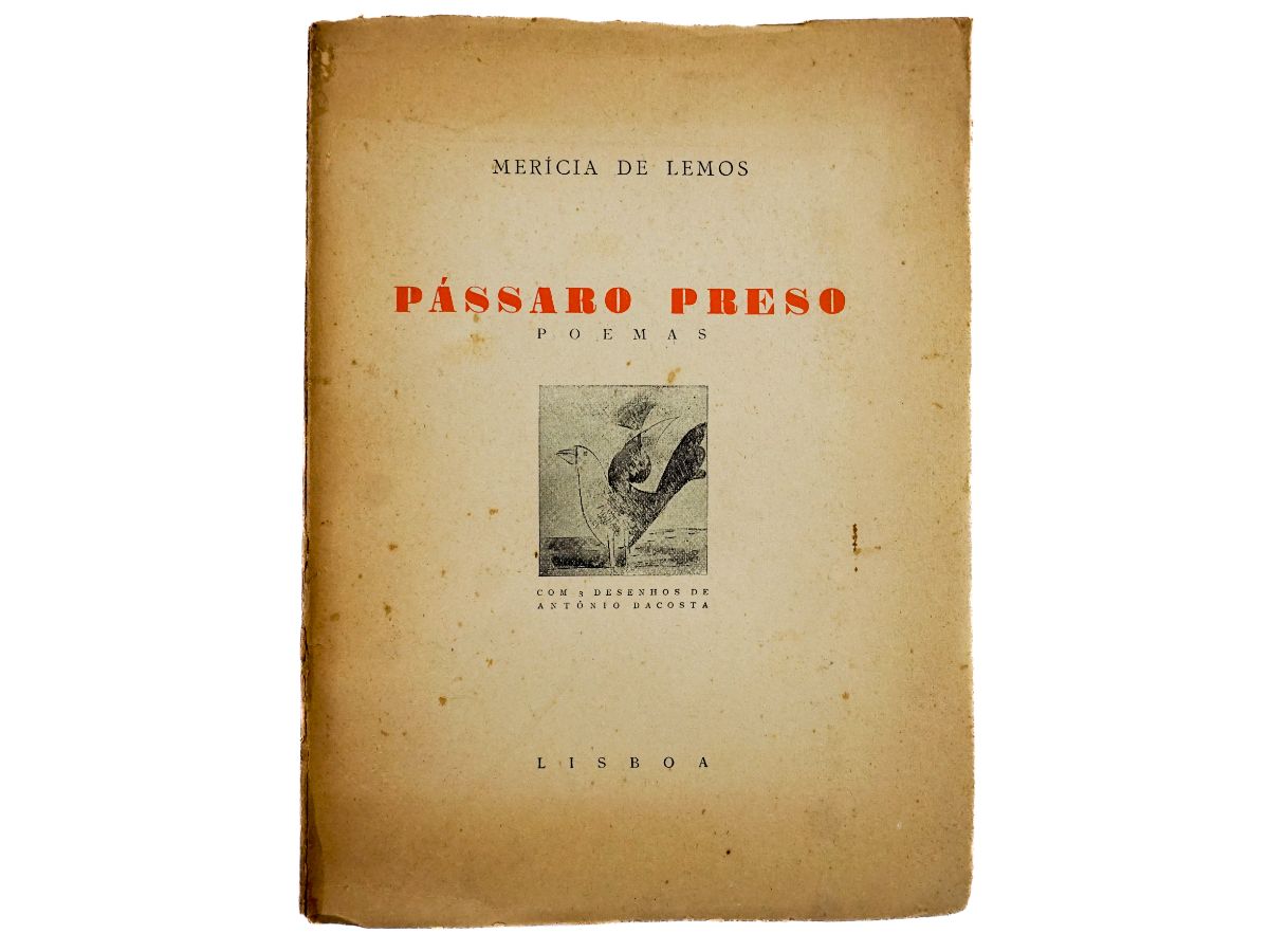 Pássaro Preso