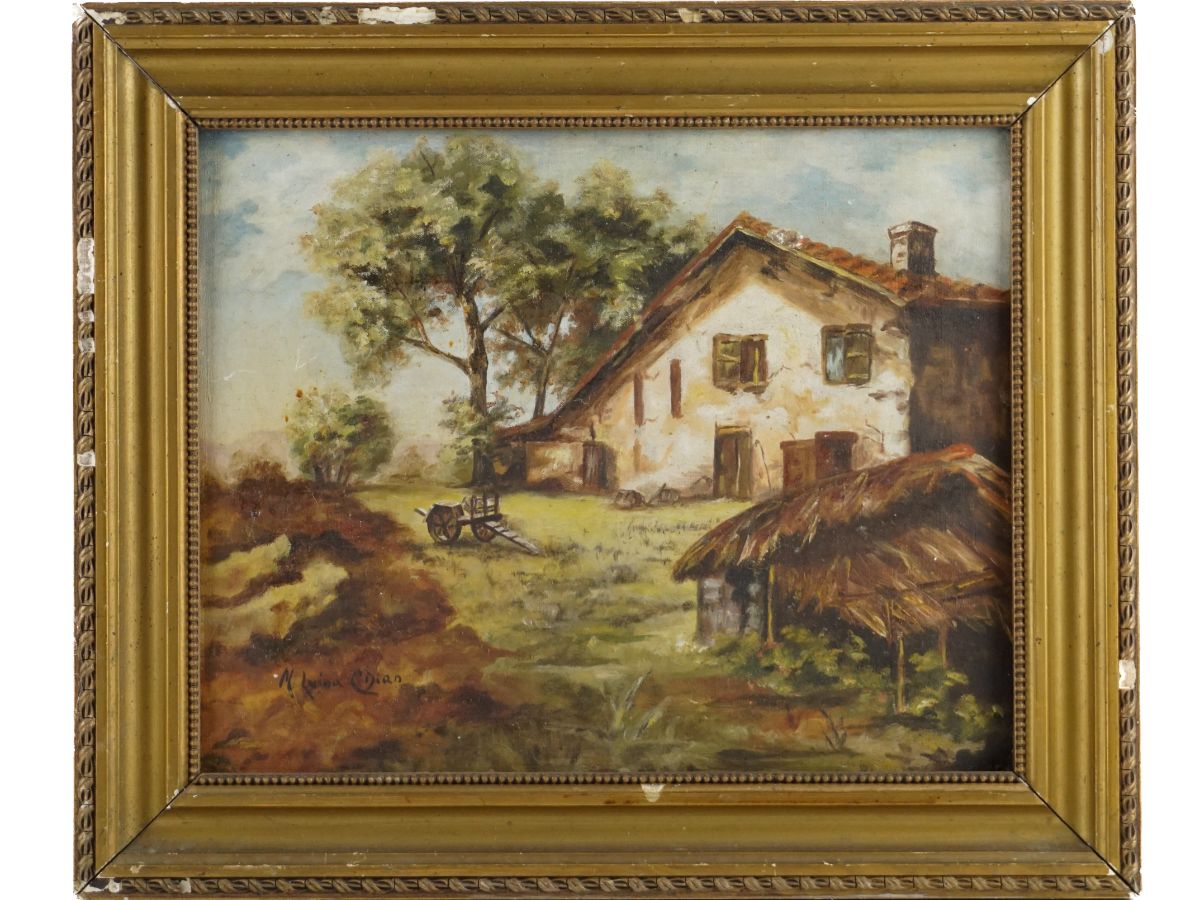 M. Luísa C. Dias