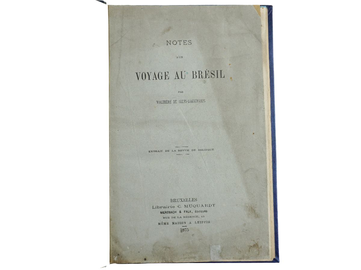 Notes d’un Voyage au Brésil (1875)