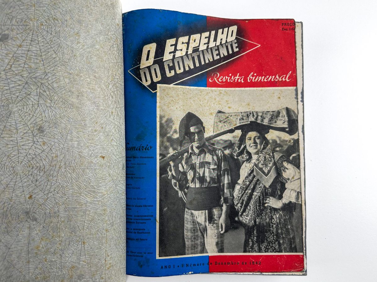 O Espelho do Continente