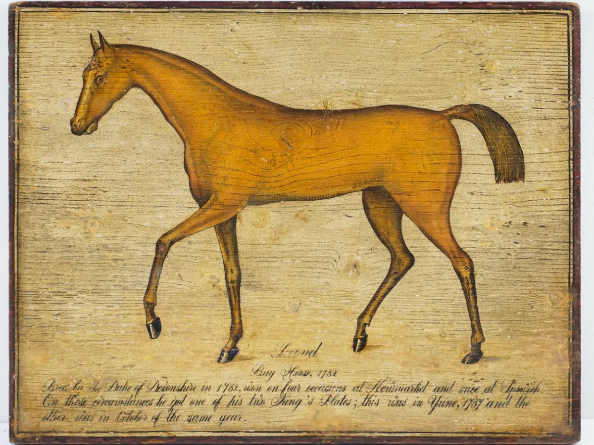 Cavalo puro sangue inglês