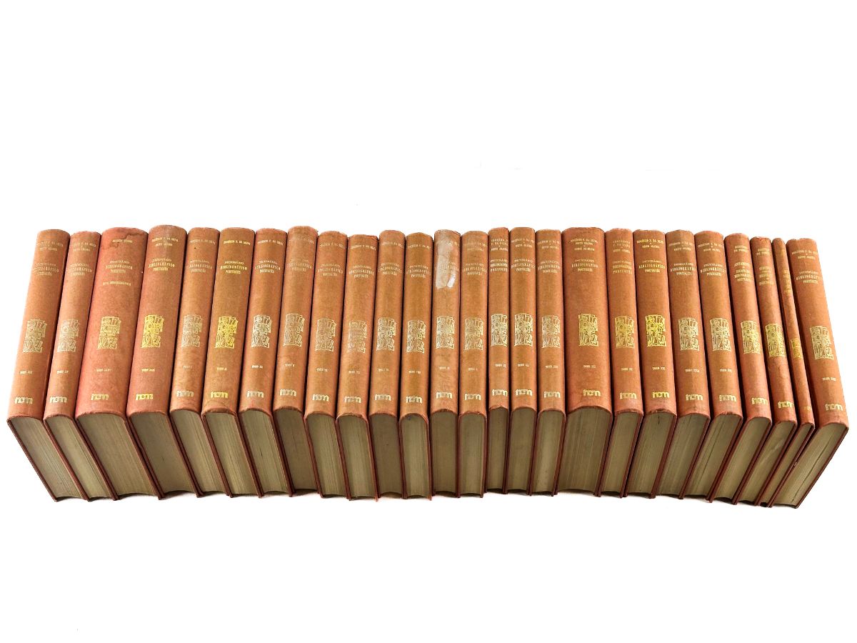 Dicionário Bibliográfico Português