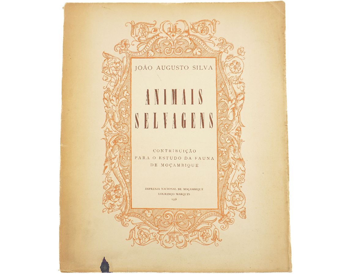 Animais Selvagens
