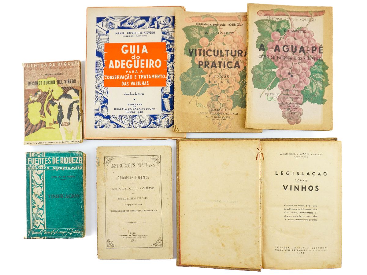 Vinicultura