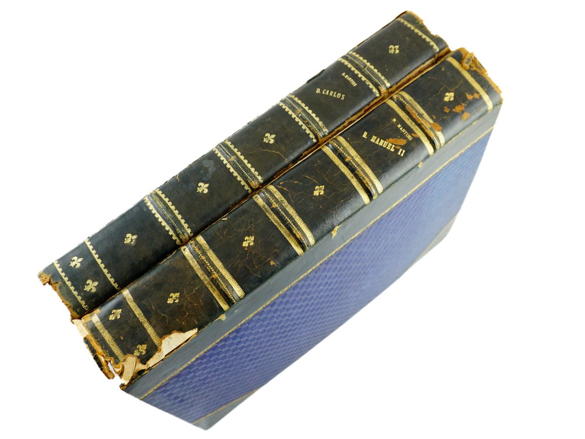 D. Carlos e D. Manuel II – Rocha Martins