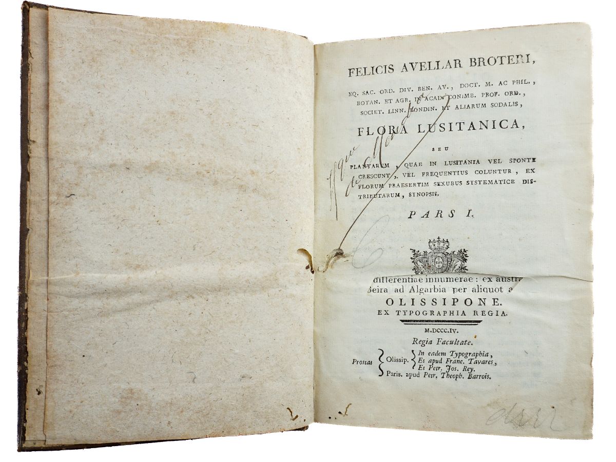Flora Lusitanica