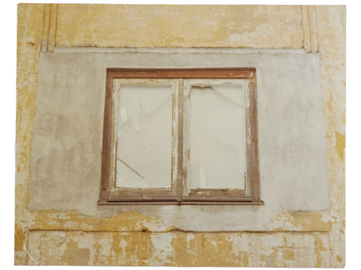 Irene Buarque – Fotografia