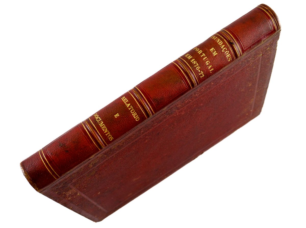 Inundações em Portugal no Inverno de 1876-1877 (1880)