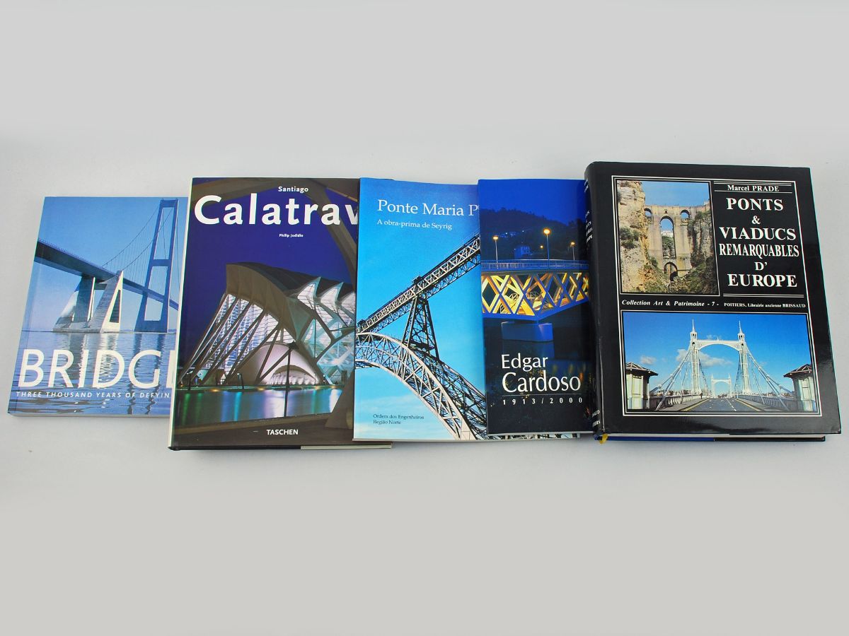 5 Livros de arquitectura, sobre as pontes