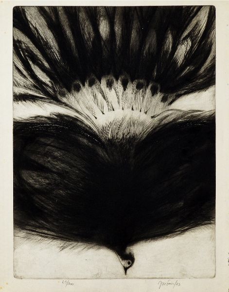 J. M. Faria