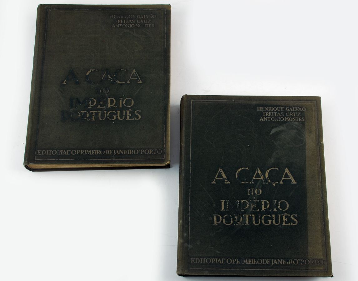 À caça do império português