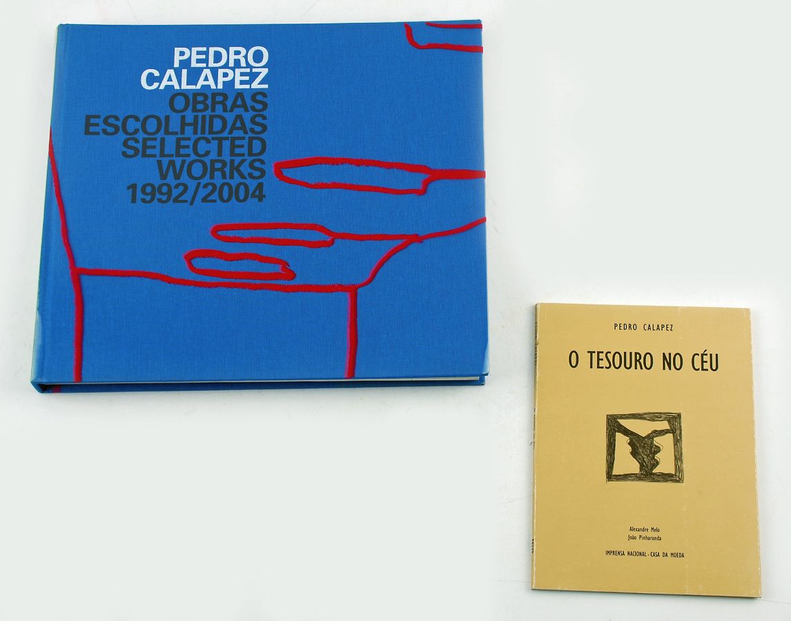 Pedro Calapez