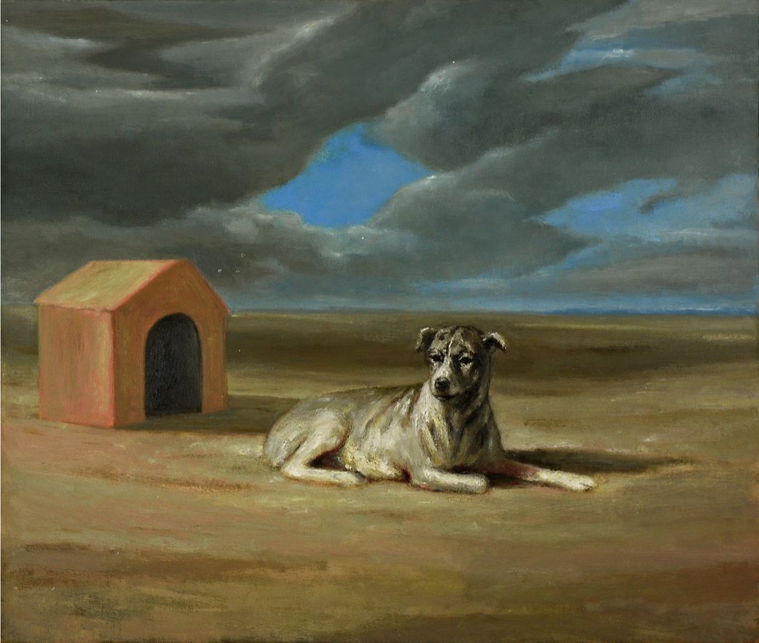 Miguel Branco