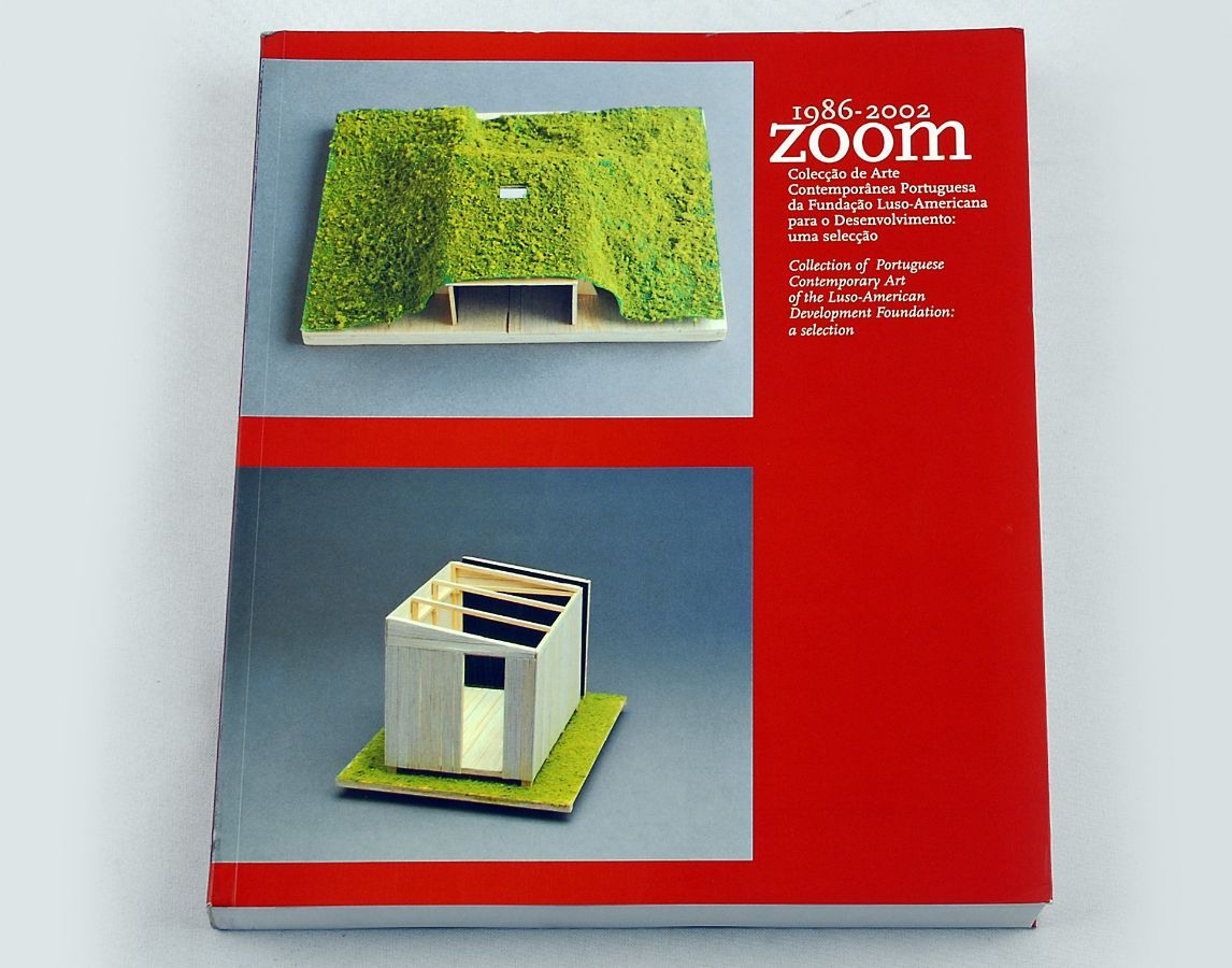 Zoom, 1986-2002