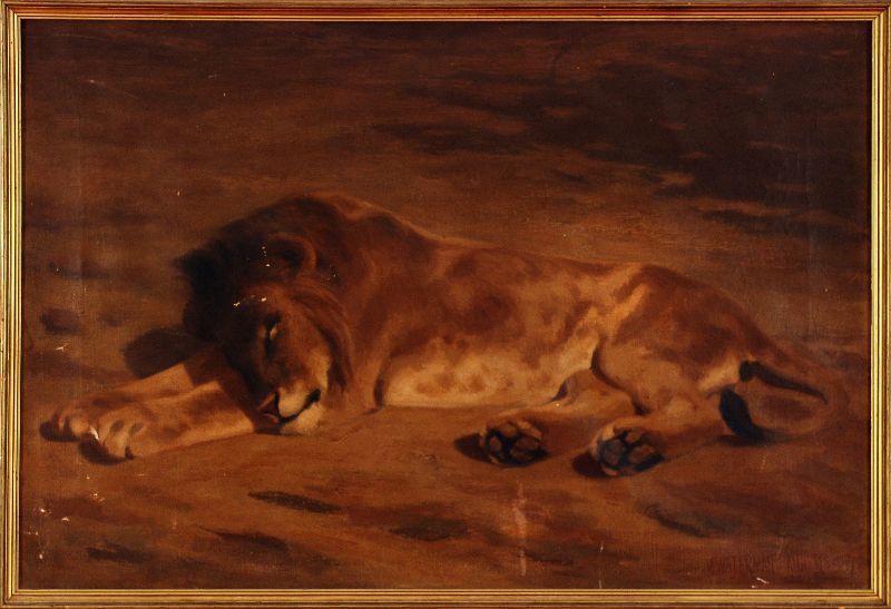 Marcus A Waterman