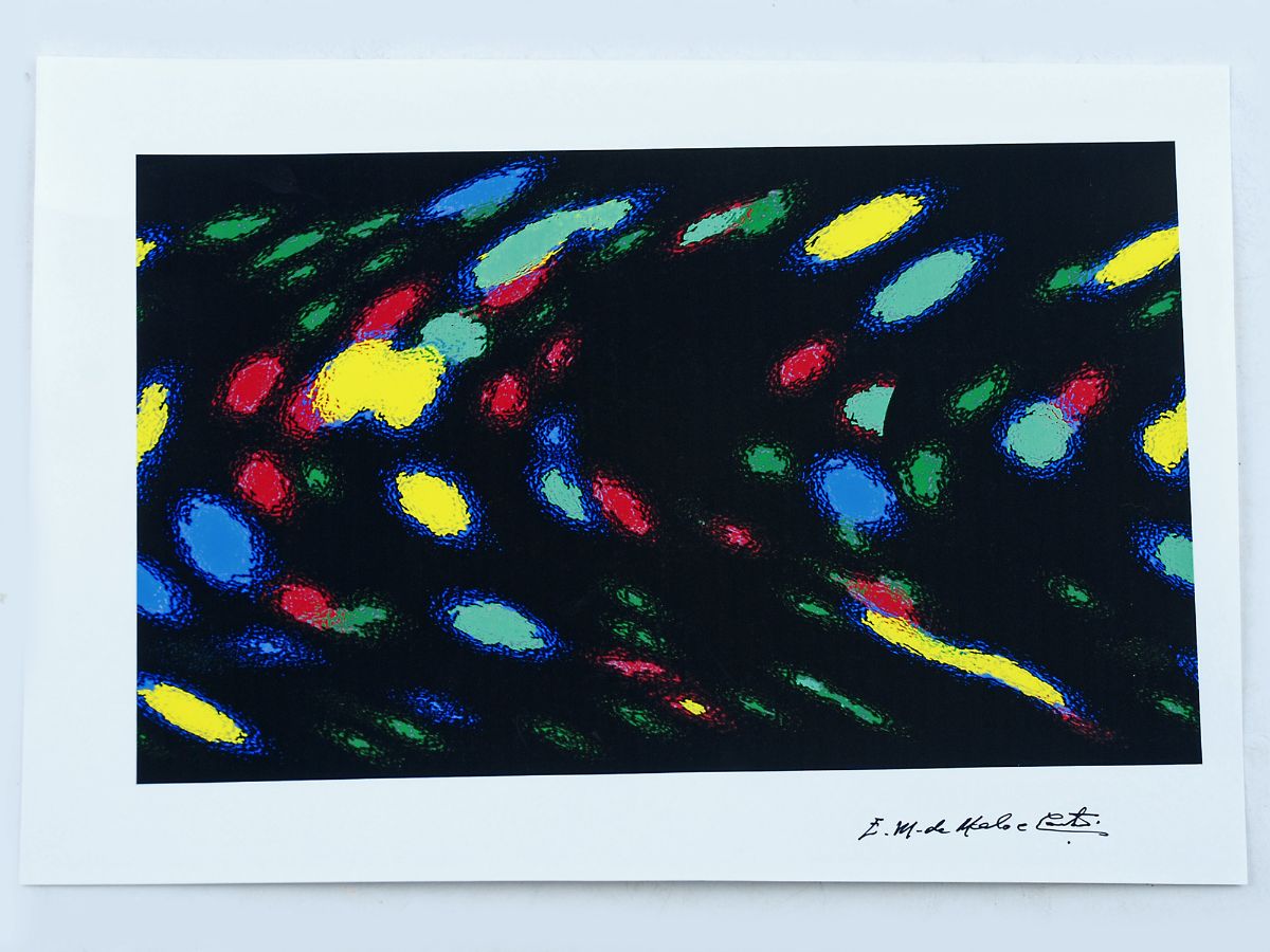 E. M. de Melo e Castro