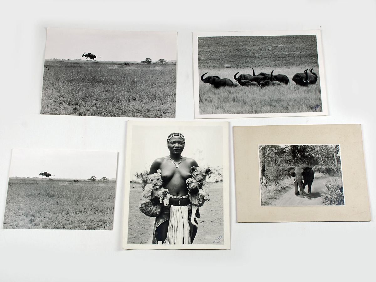 5 Fotografias Africanas dos Anos 50