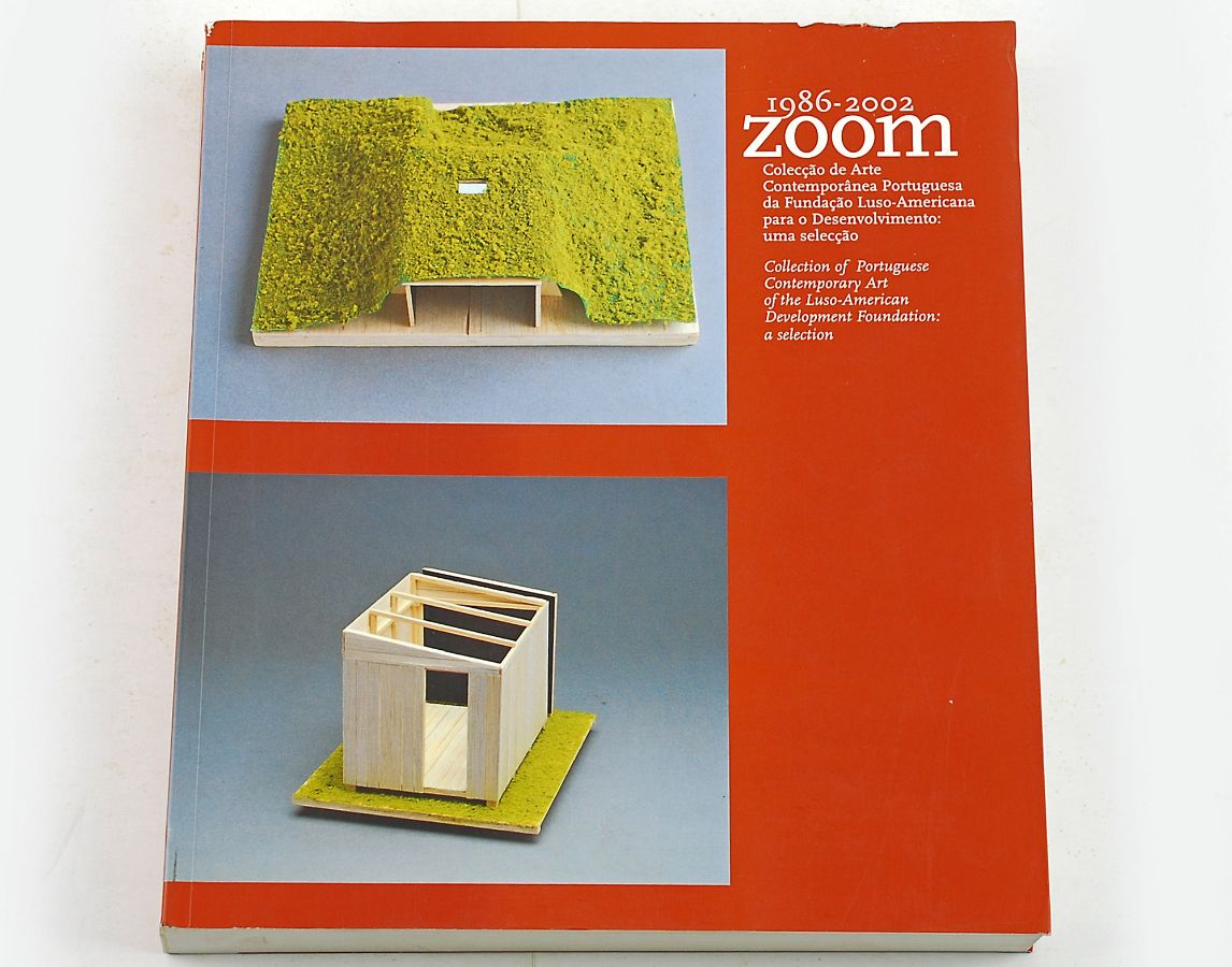 Zoom, 1986-2002