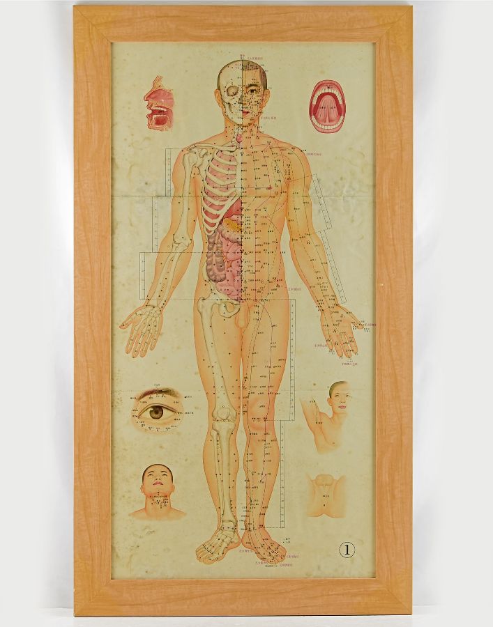 Cartaz de medicina Chinesa