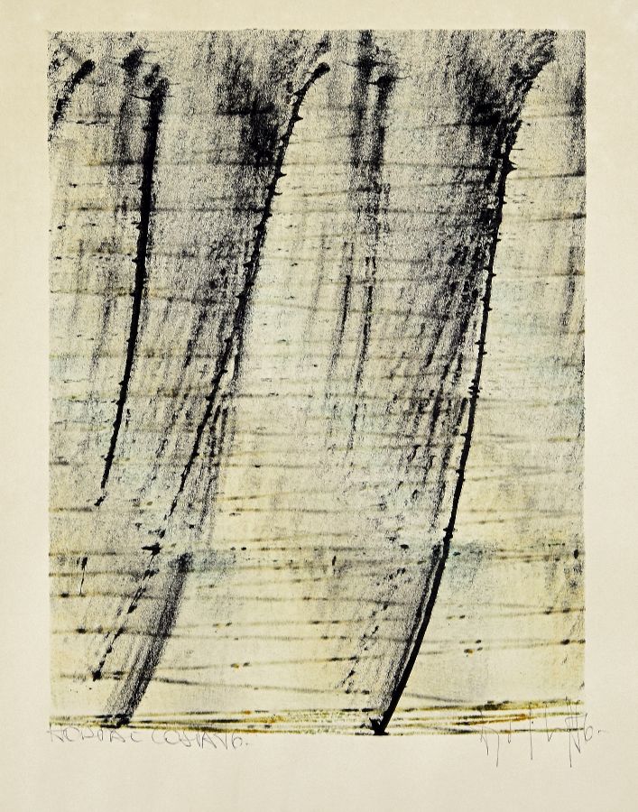 Horta e Costa