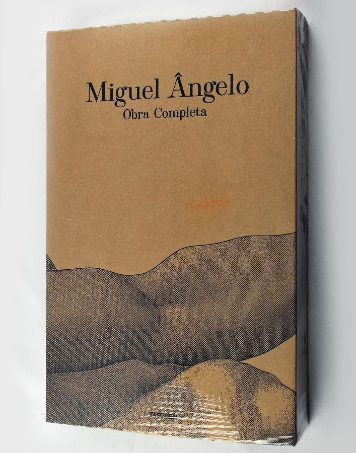 Miguel Ângelo