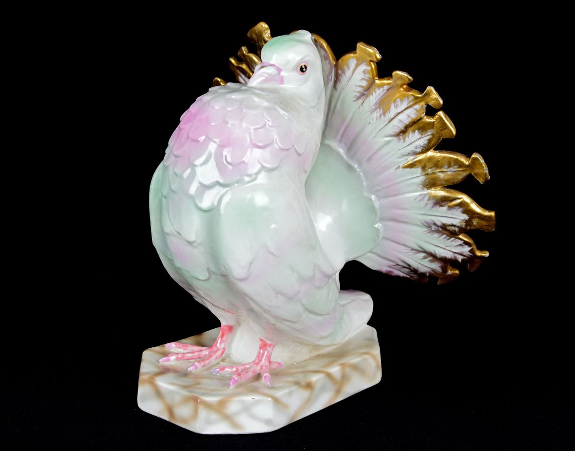 Pombo vaidoso