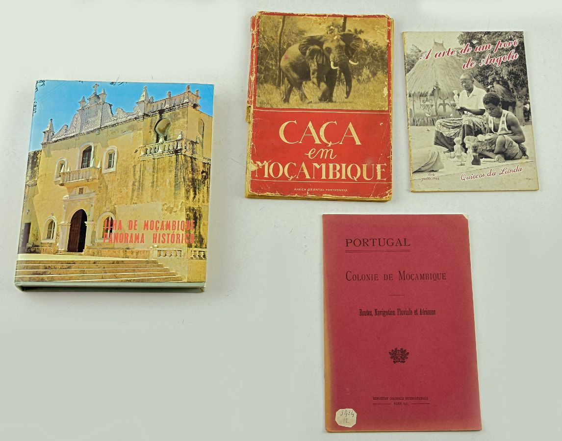 4 livros sobre África