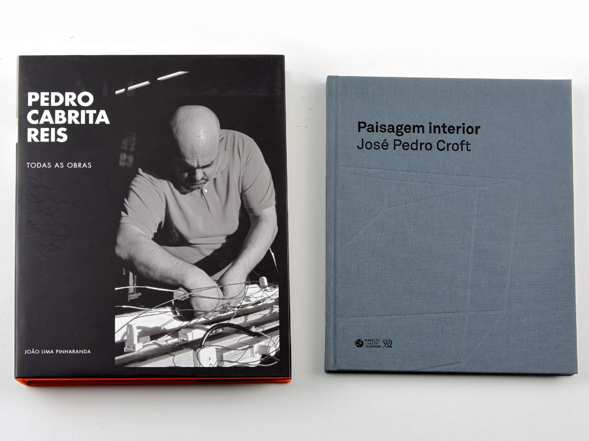 2 Livros de artistas