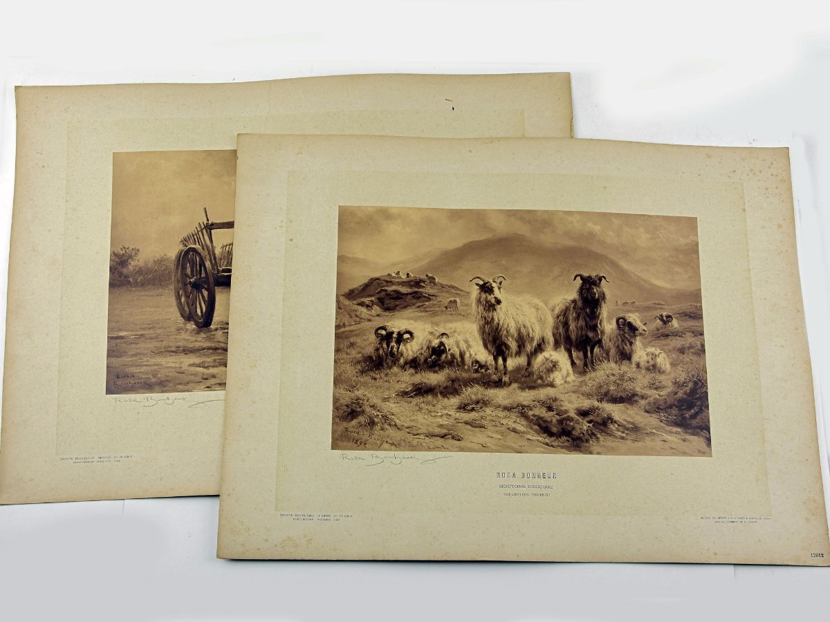 Rosa Bonheur