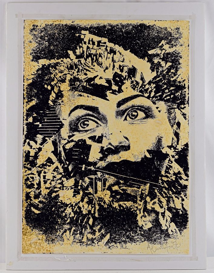 Vhils (Alexandre Farto)