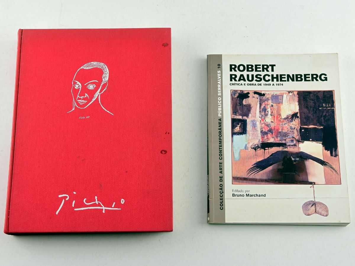 2 Livros de Pintura