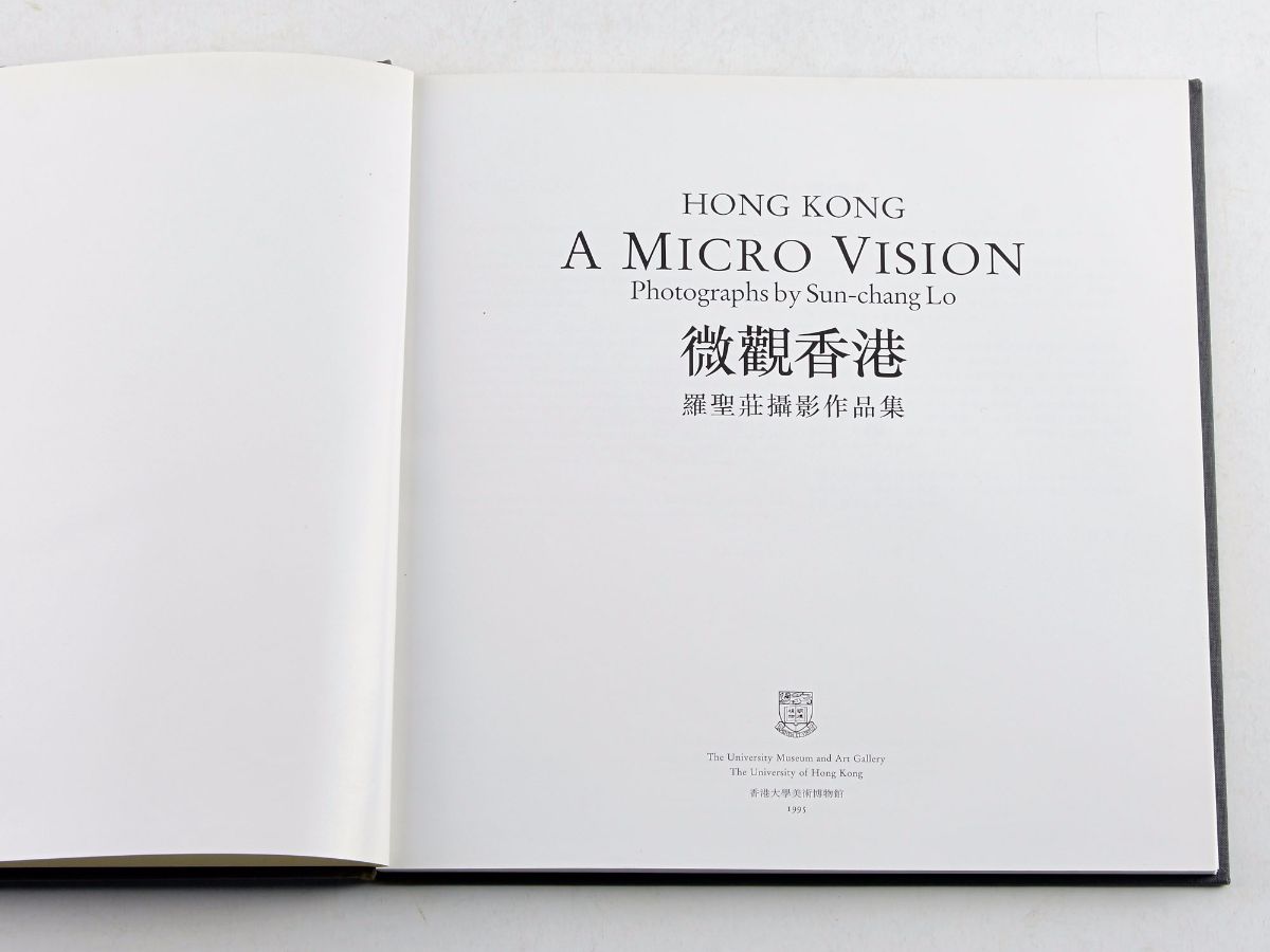 Hong Kon - A Micro Vision