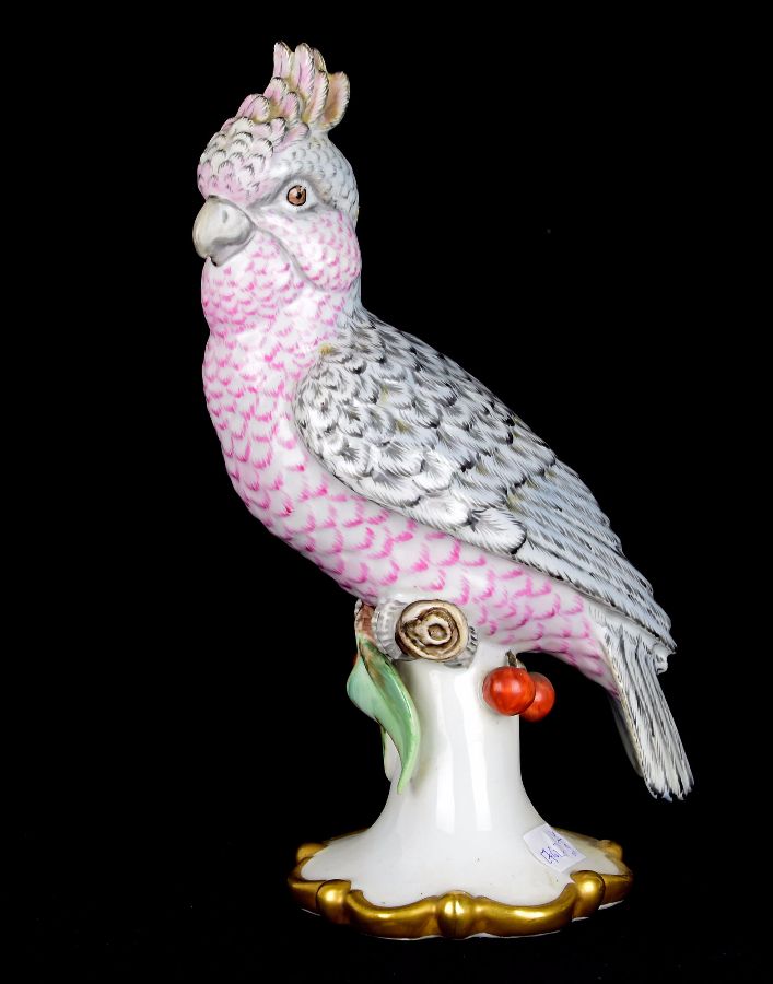 Catatua