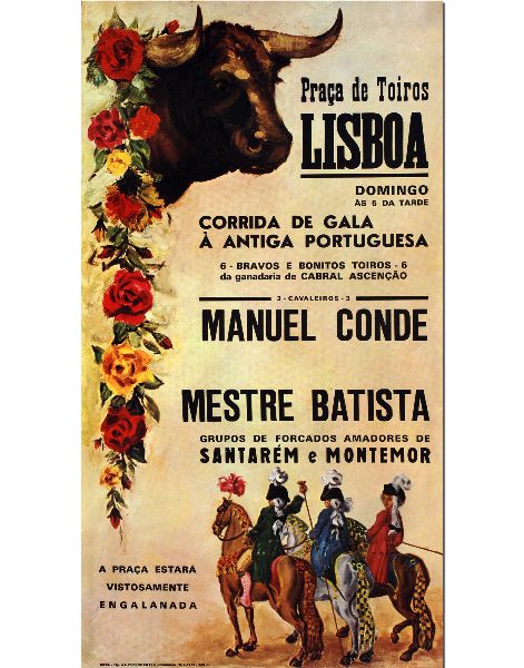 Cartaz de Tourada