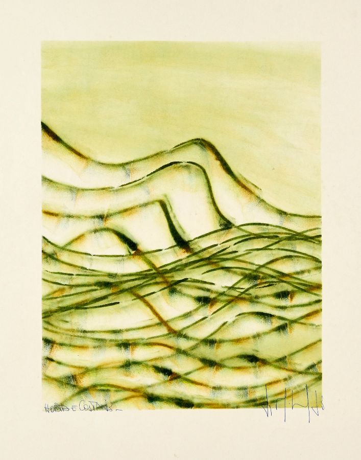 Horta e Costa
