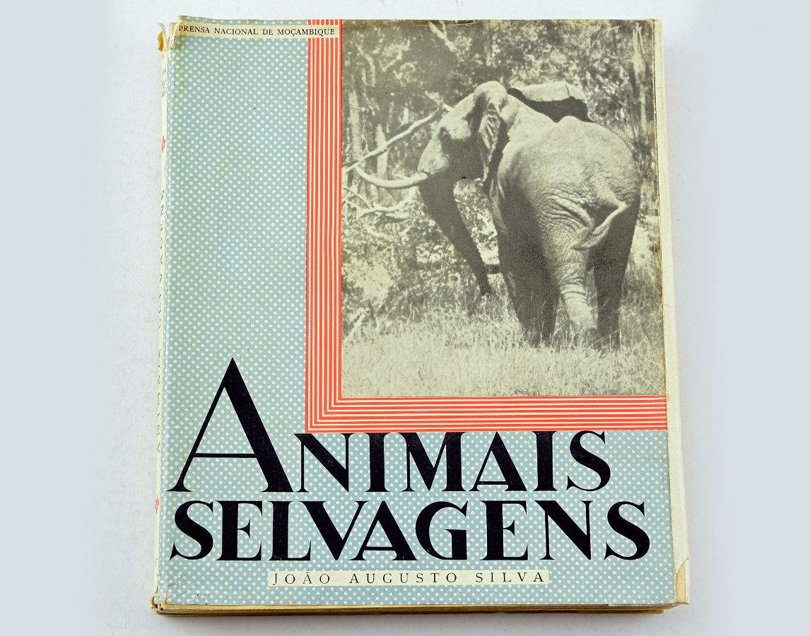 Animais Selvagens