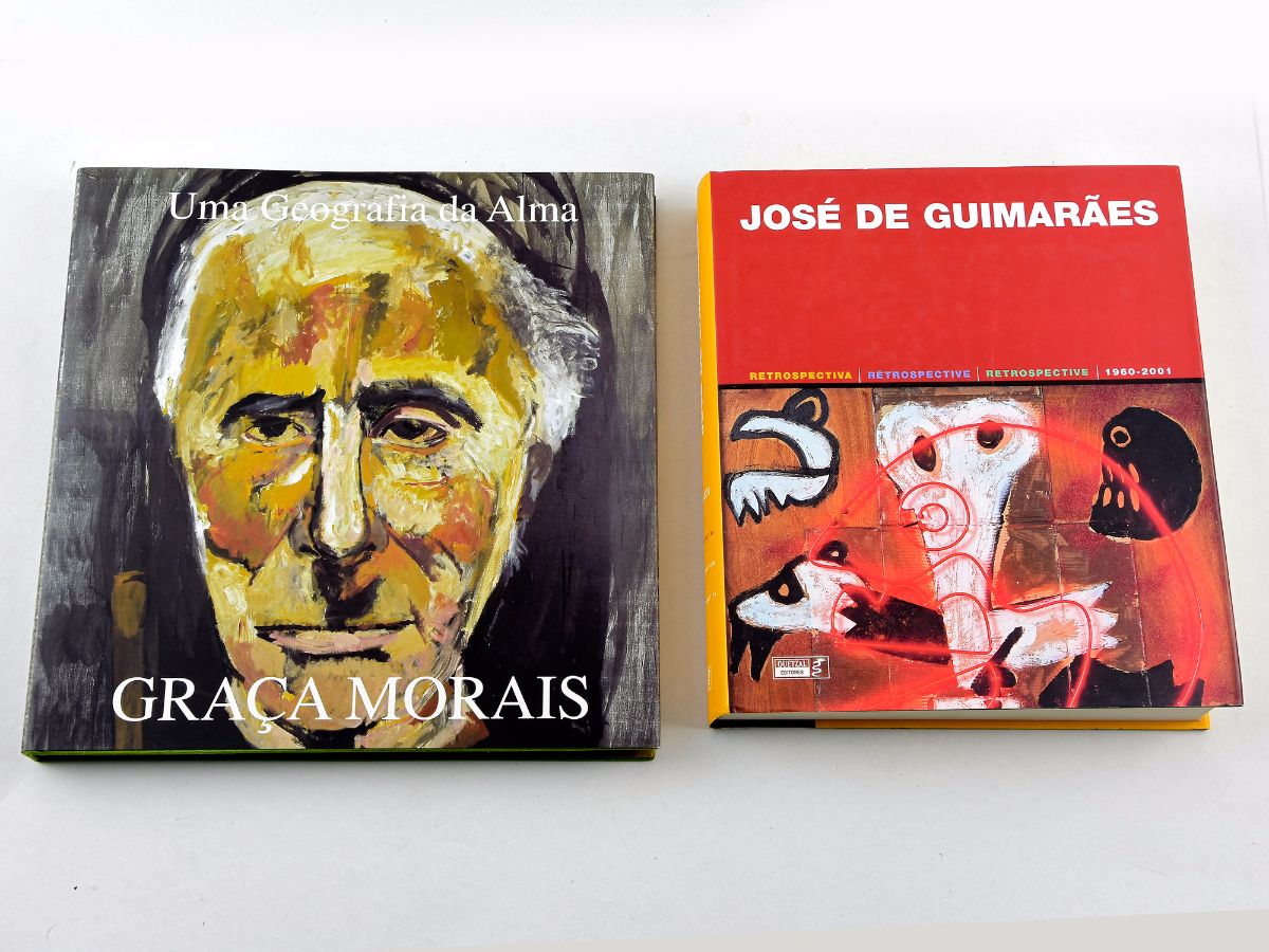 2 Livros de Artistas