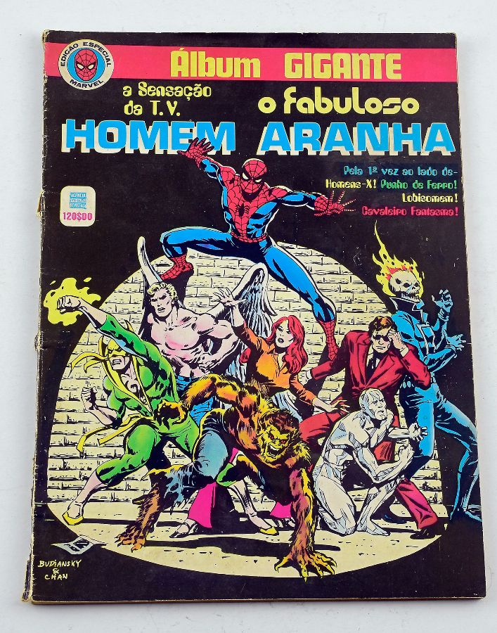 Homem Aranha - Álbum Gigante