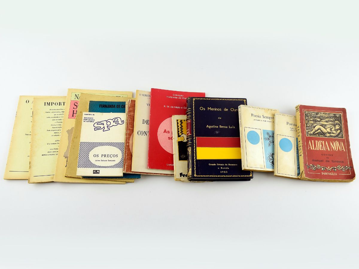 Conjunto literatura portuguesa (14 títulos)