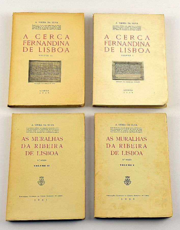 A. P. Vieira da Silva