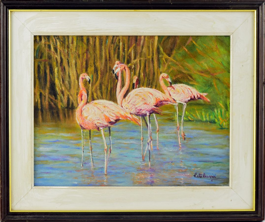 Flamingos