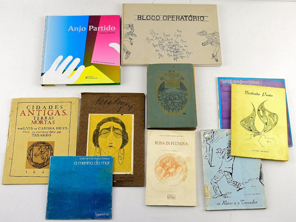 Livros Ilustrados