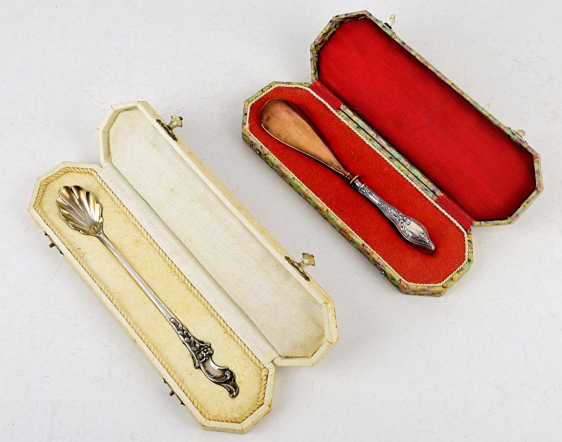 Conjunto de 2 peças (Colher + Calçadeira)