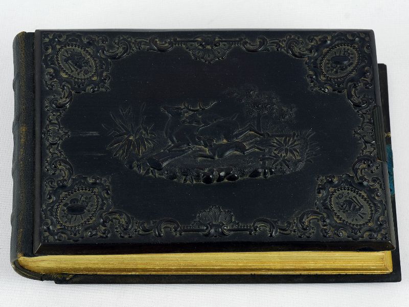 Álbum de Fotografia 