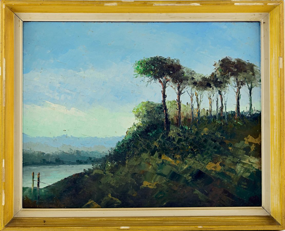 Pedro Olaio (Pai)